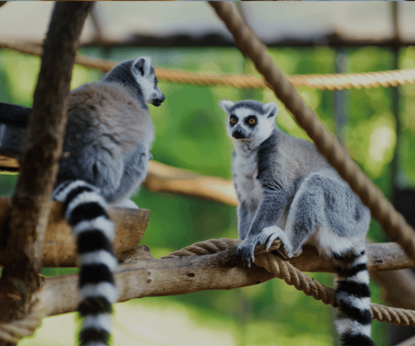  動物園＆水族館 