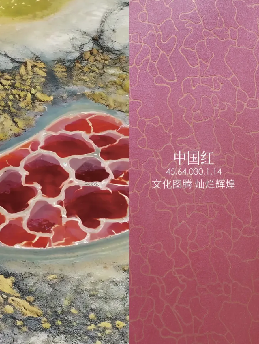 iLuvVivid活动：中国传统色彩与现代家居的完美邂逅 艺术涂料灵感图
艺术涂料立体纹理
艺术涂料产品