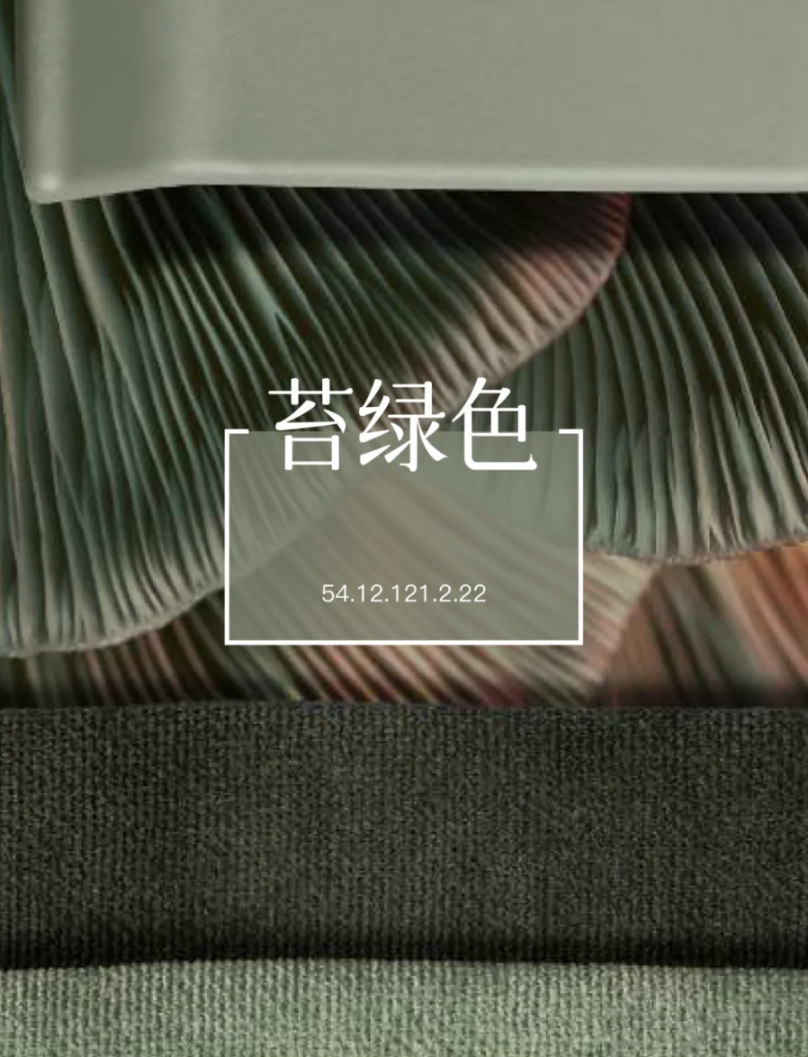 2025年6月のカラー｜苔緑 – 家を詩情あふれる住処に