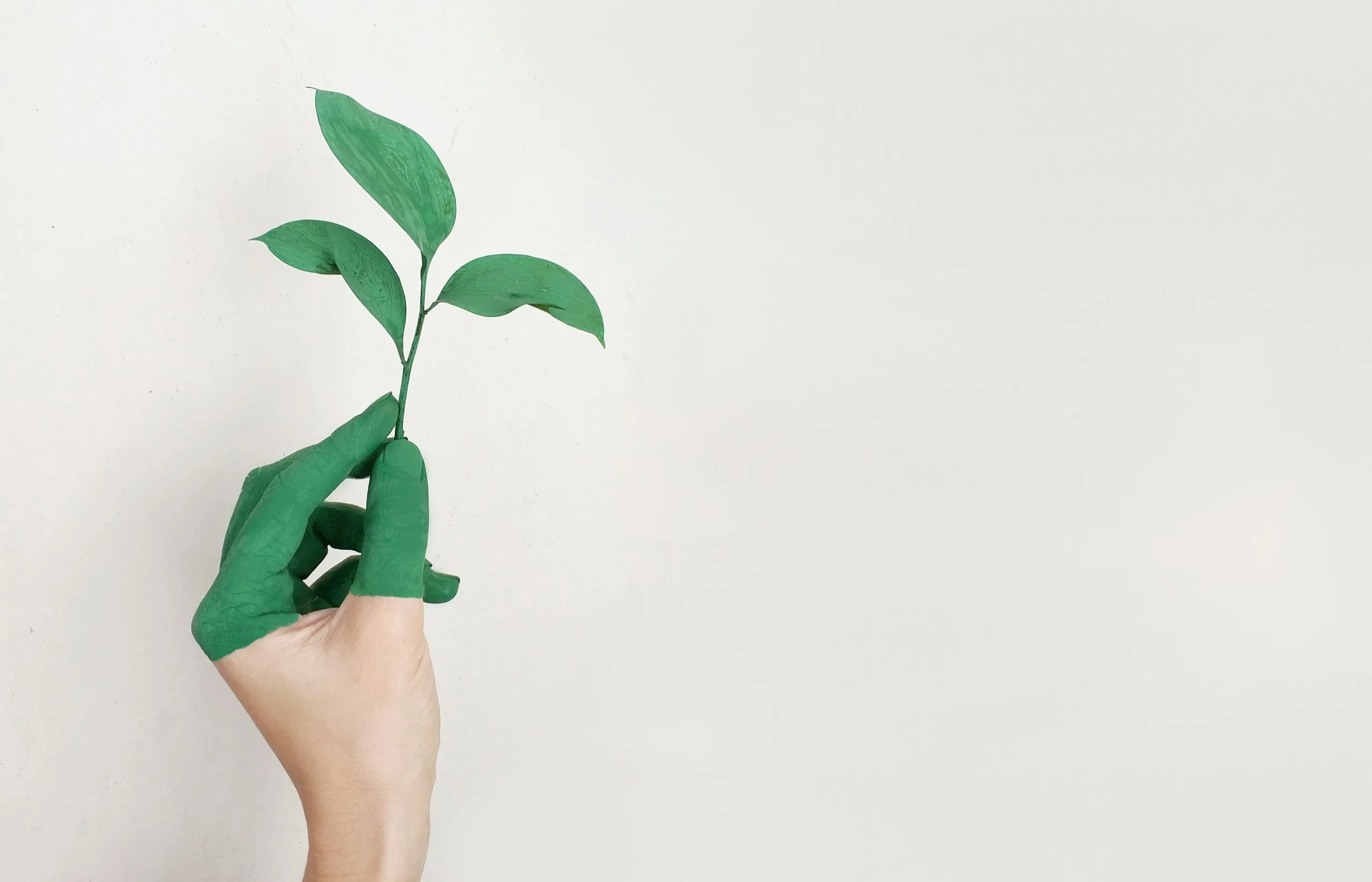 iLuvVivid Green Sustainability Efforts 