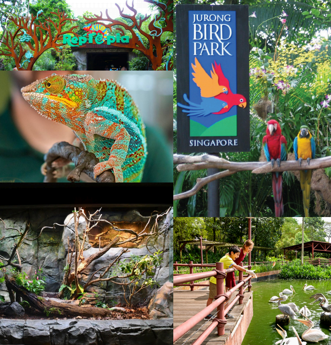 Singapore Zoo & Bird Park
