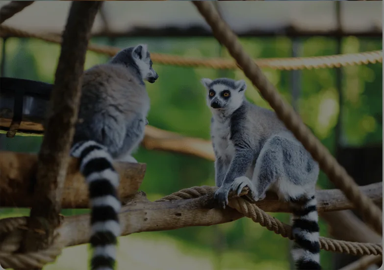 Zoos & Aquariums